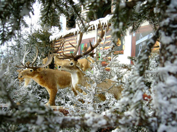 0016_Montreuxnoel.com1_Schoene Aussichten Touristik